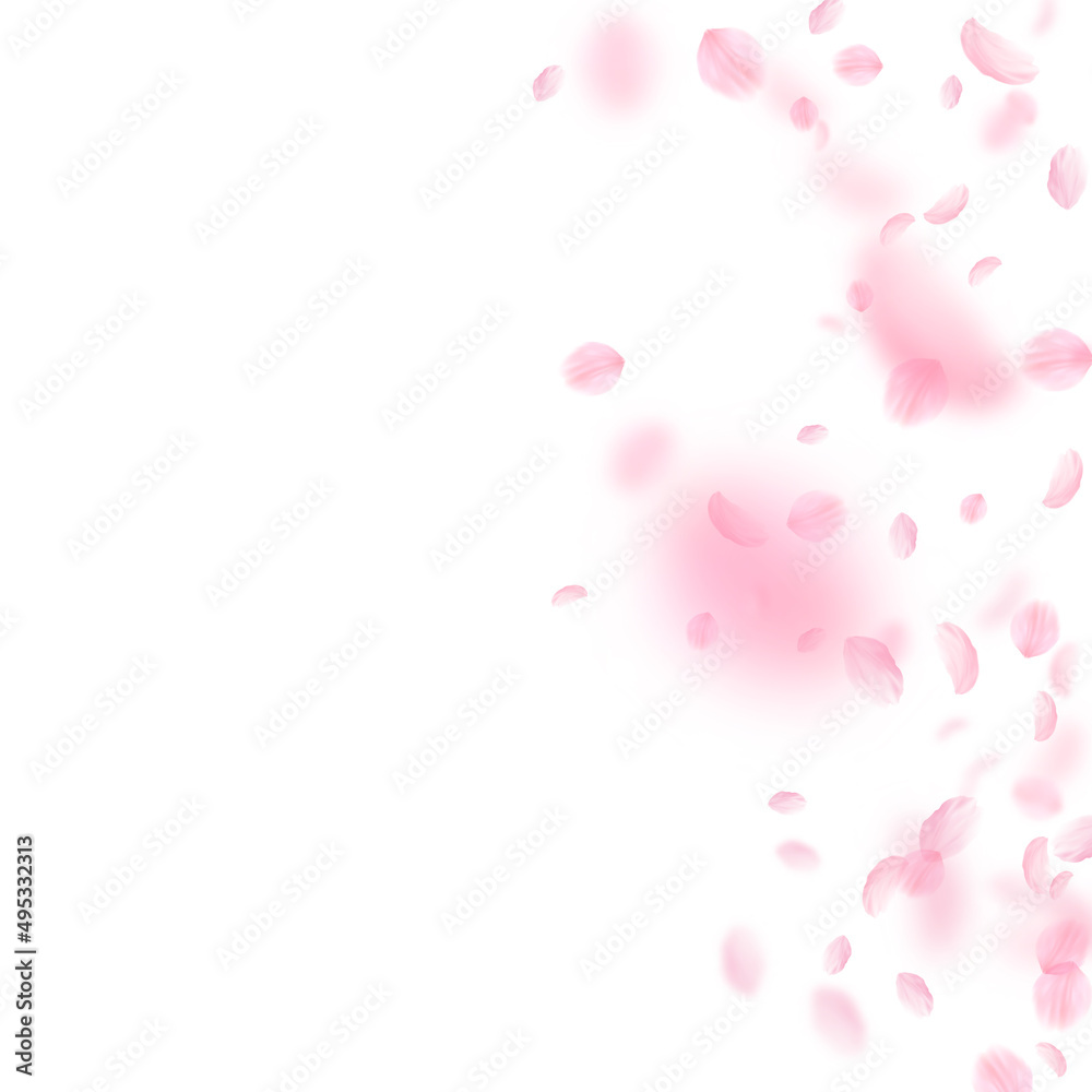Sakura petals falling down. Romantic pink flowers gradient. Flying petals on white square background. Love, romance concept. Actual wedding invitation.