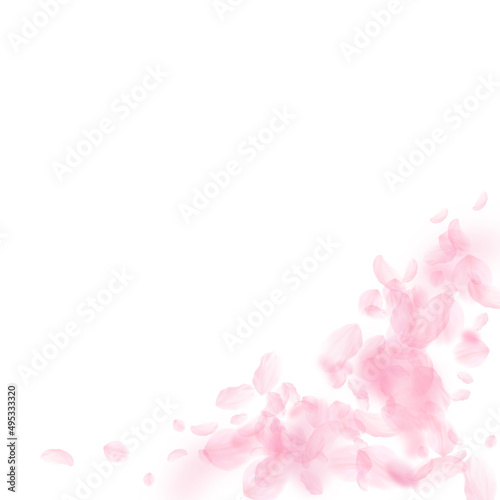 Sakura petals falling down. Romantic pink flowers corner. Flying petals on white square background. Love, romance concept. Unique wedding invitation.