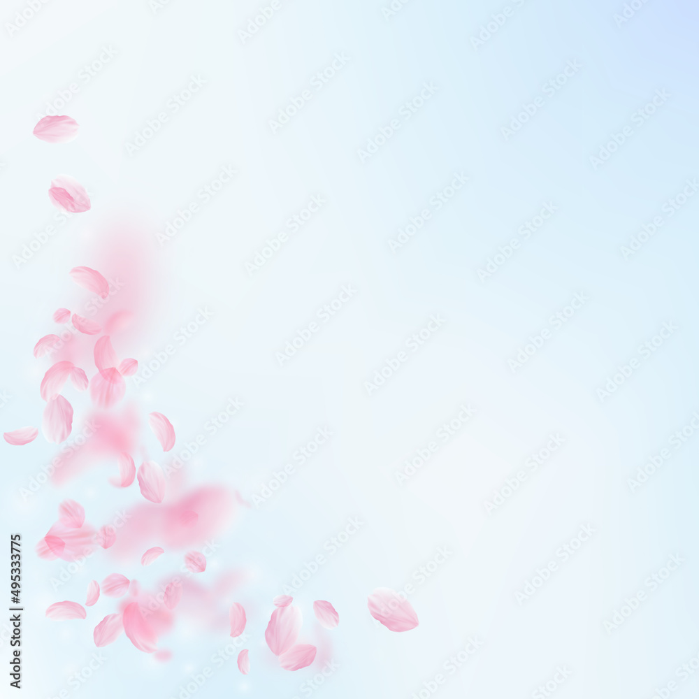Sakura petals falling down. Romantic pink flowers corner. Flying petals on blue sky square background. Love, romance concept. Sightly wedding invitation.