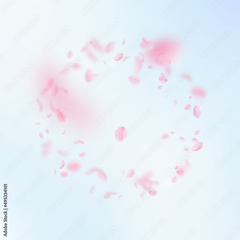 Sakura petals falling down. Romantic pink flowers frame. Flying petals on blue sky square background. Love, romance concept. Mind-blowing wedding invitation.
