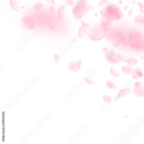 Sakura petals falling down. Romantic pink flowers corner. Flying petals on white square background. Love, romance concept. Captivating wedding invitation.