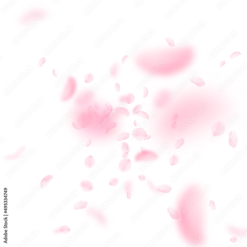 Sakura petals falling down. Romantic pink flowers explosion. Flying petals on white square background. Love, romance concept. Exotic wedding invitation.