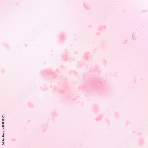 Sakura petals falling down. Romantic pink flowers explosion. Flying petals on pink square background. Love, romance concept. Fancy wedding invitation.