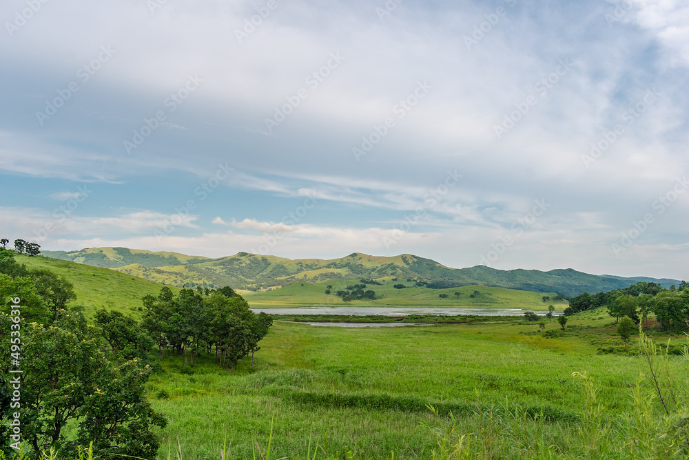 Summer landscape. A valley among green hills with rare trees and a lake that can be seen at the horizon.