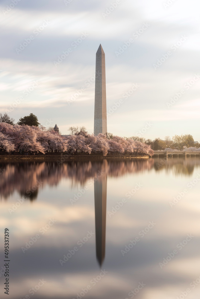 A 60 second exposure of the Tidal Basin in Washington DC smooths out the water and reflection of the Washington Monument and the springtime Cherry Blossoms.