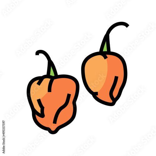 pepper habanero color icon vector. pepper habanero sign. isolated symbol illustration