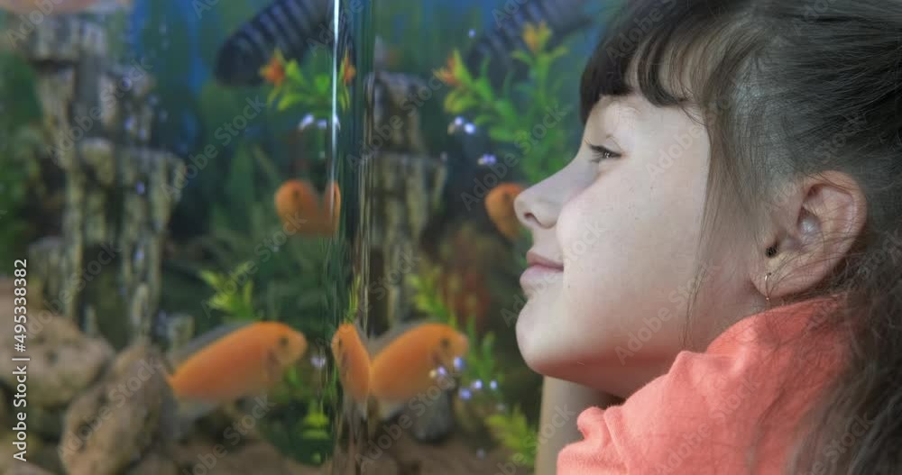 Child by aquarium fish tank. A little girl watch small fishes tank in aquarium. Child by aquarium fish tank. A little girl watch small fishes tank in aquarium.
