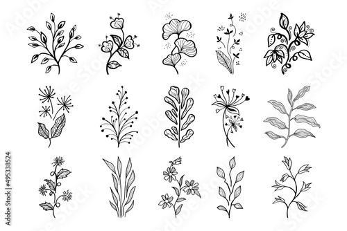 Hand drawn vector design floral elements