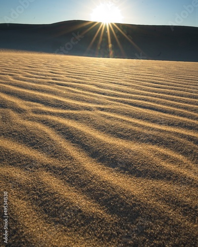 Fototapeta Naklejka Na Ścianę i Meble -  Sand Dune