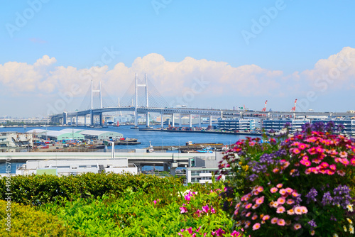 港が見える丘公園から臨む横浜ベイブリッジ 
