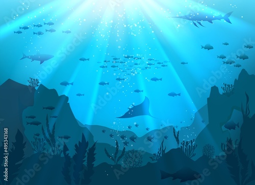 Undersea coral reef