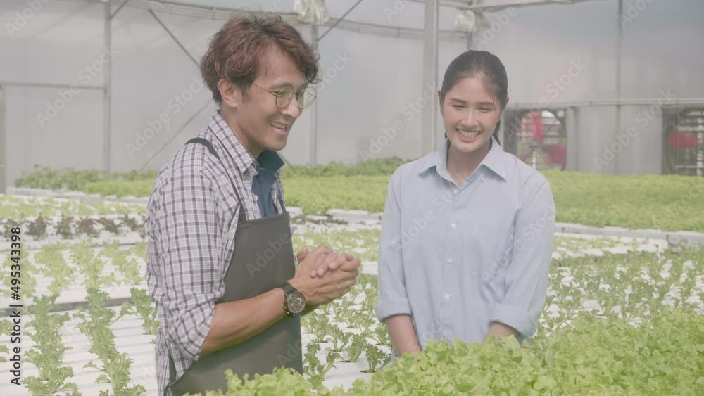 Young asian man handshake with customer in hydroponic system organic vegetables lettuce farm, entrepreneur man service woman and harvest agriculture for examining quality at greenhouse. Young asian man handshake with customer in hydroponic system organic vegetables lettuce farm, entrepreneur man service woman and harvest agriculture for examining quality at greenhouse.