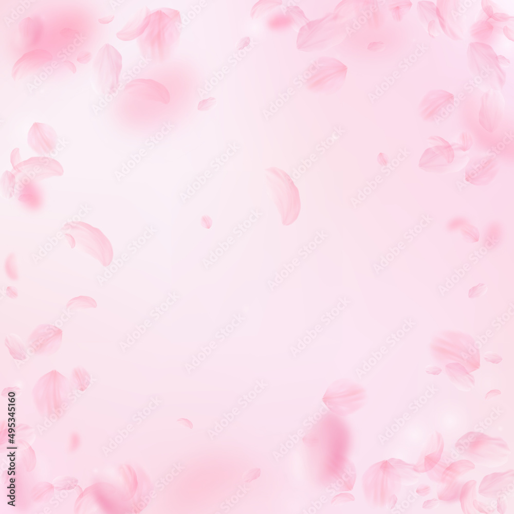 Sakura petals falling down. Romantic pink flowers vignette. Flying petals on pink square background. Love, romance concept. Fine wedding invitation.