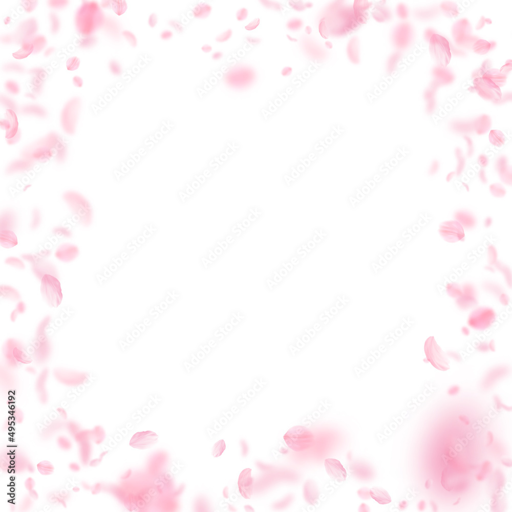 Fototapeta premium Sakura petals falling down. Romantic pink flowers frame. Flying petals on white square background. Love, romance concept. Positive wedding invitation.