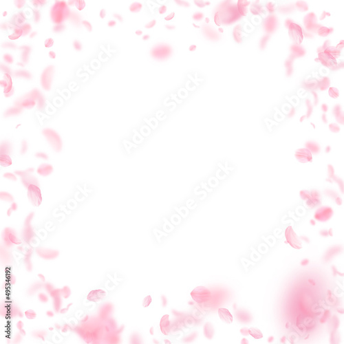 Sakura petals falling down. Romantic pink flowers frame. Flying petals on white square background. Love, romance concept. Positive wedding invitation. © Begin Again