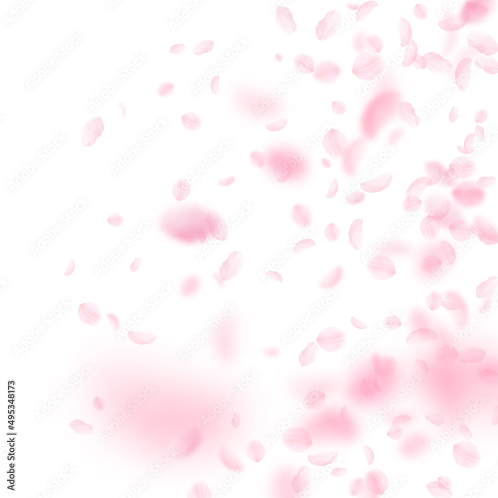 Sakura petals falling down. Romantic pink flowers gradient. Flying petals on white square background. Love, romance concept. Stunning wedding invitation.