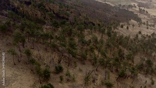 Effect of climate changes on hills after a fire left land destroyed photo