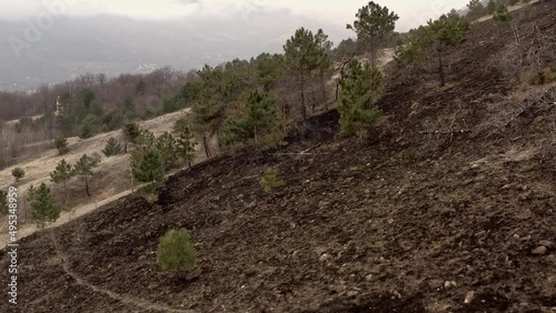 Effect of climate changes on hills after a fire left land destroyed photo