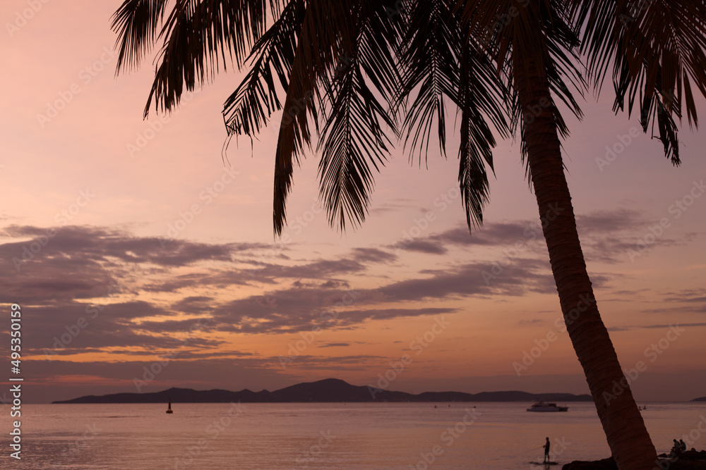 Silhouette coconut palm tree on sunset sky background