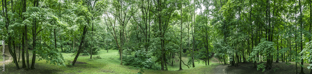 amazing nature landscape with green trees in public park at cloudy summer day. aerial panoramic view.