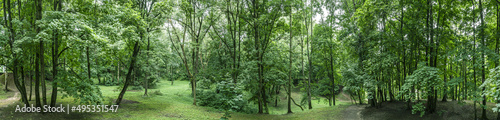 amazing nature landscape with green trees in public park at cloudy summer day. aerial panoramic view.