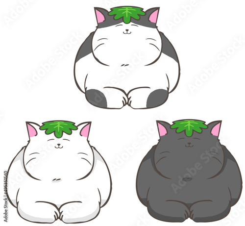 Cats putting a oak leaf on their forehead, bicolor, white, black