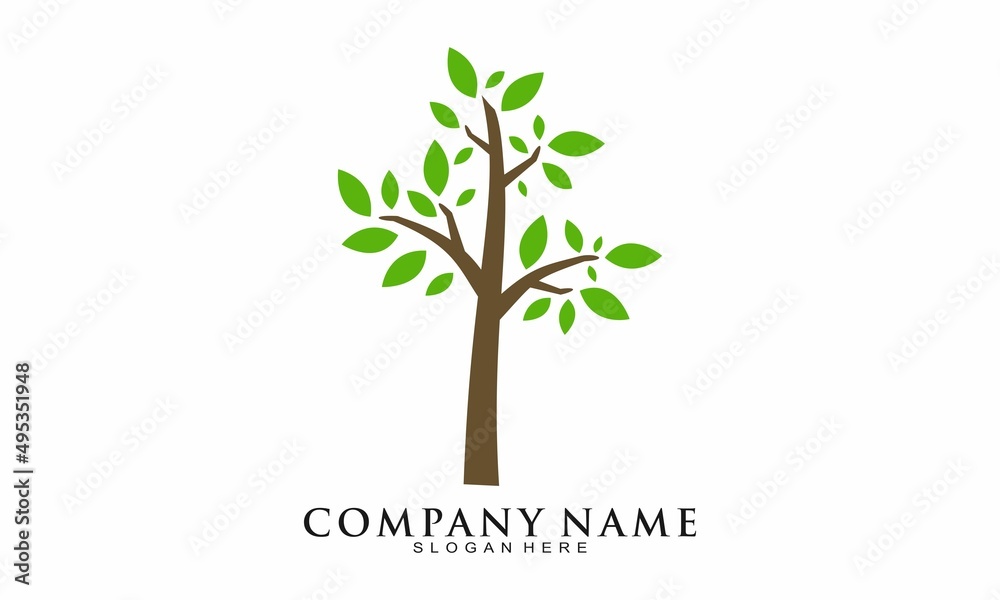 Obraz premium Beautiful tree illustration logo vector