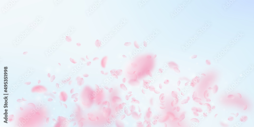 Sakura petals falling down. Romantic pink flowers explosion. Flying petals on blue sky wide background. Love, romance concept. Grand wedding invitation. Sakura petals falling down. Romantic pink flowers explosion. Flying petals on blue sky wide background. Love, romance concept. Grand wedding invitation.