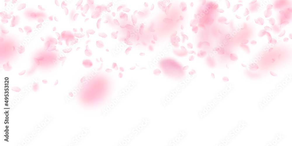 Sakura petals falling down. Romantic pink flowers gradient. Flying petals on white wide background. Love, romance concept. Overwhelming wedding invitation.