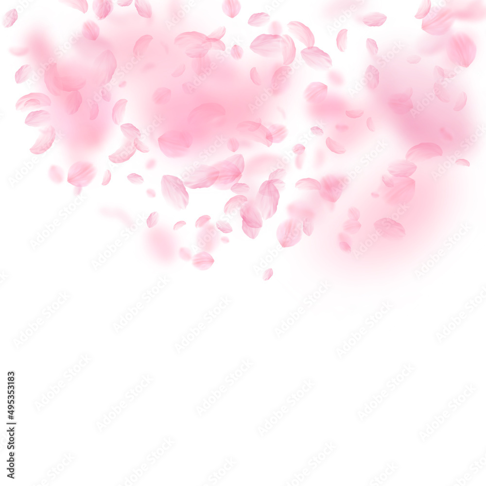 Sakura petals falling down. Romantic pink flowers semicircle. Flying petals on white square background. Love, romance concept. Elegant wedding invitation.