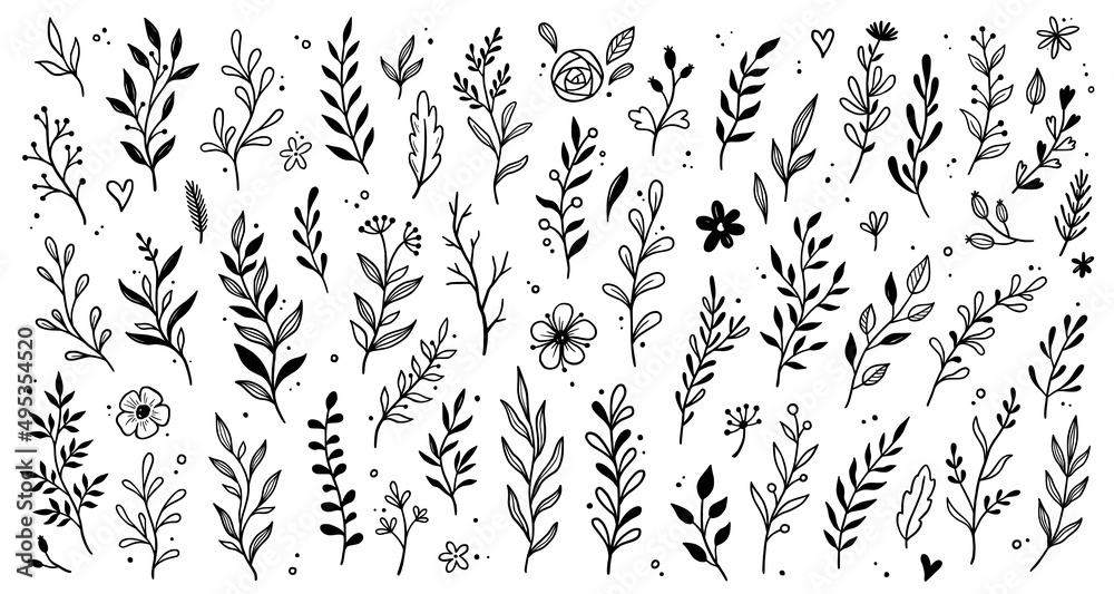 Leaf branch wreath rustic set. Hand drawn sketch doodle style leaf. Flourish branch, laurel flower for border, divider design element. Vector illustration.