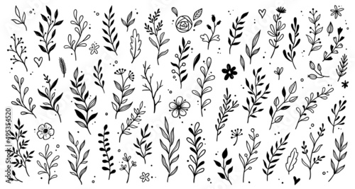 Leaf branch wreath rustic set. Hand drawn sketch doodle style leaf. Flourish branch, laurel flower for border, divider design element. Vector illustration.