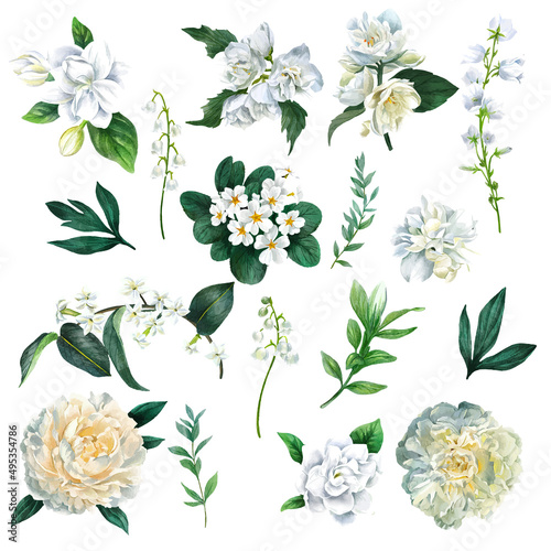 Obraz na plátně Set of lush spring flowers including peonies