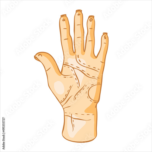Human hand with lines on the palm. Divination by hand, palmistry.