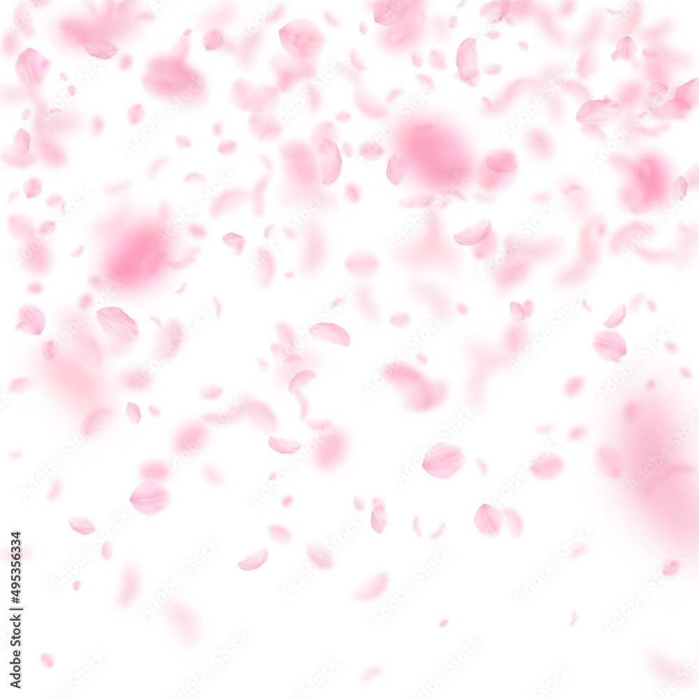 Sakura petals falling down. Romantic pink flowers gradient. Flying petals on white square background. Love, romance concept. Beauteous wedding invitation.