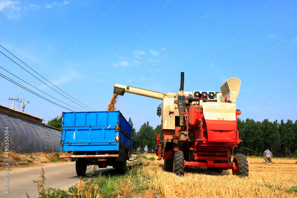 combine harvester working on a wheat field combine harvester working on a wheat field