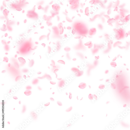 Sakura petals falling down. Romantic pink flowers gradient. Flying petals on white square background. Love, romance concept. Beauteous wedding invitation.