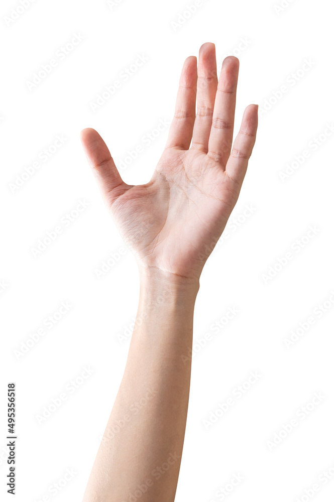 Woman hand reach and ready to help or receive. Gesture isolated on white background. Woman hand reach and ready to help or receive. Gesture isolated on white background.