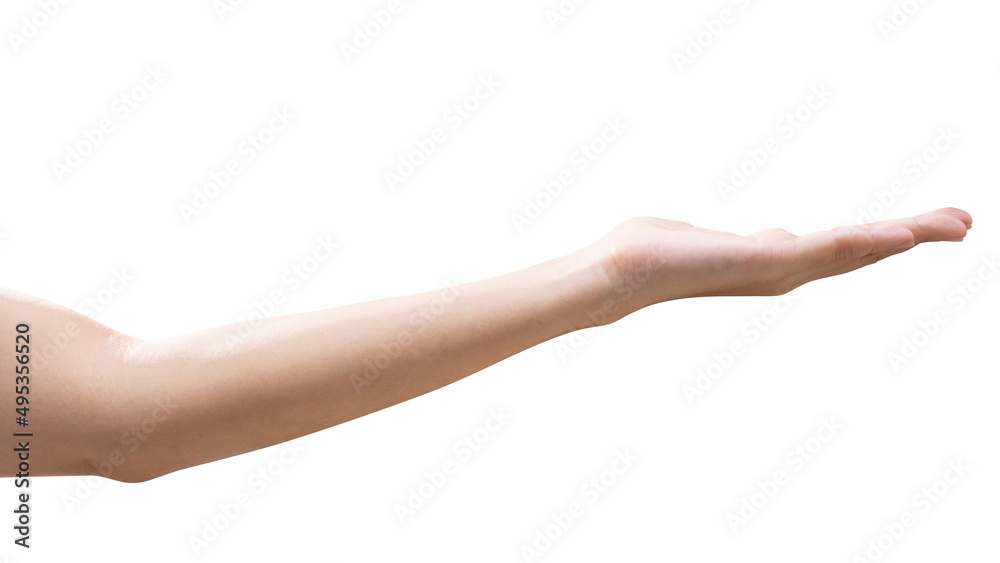 isolated of woman hand holding something like a bottle or can. isolated of woman hand holding something like a bottle or can.