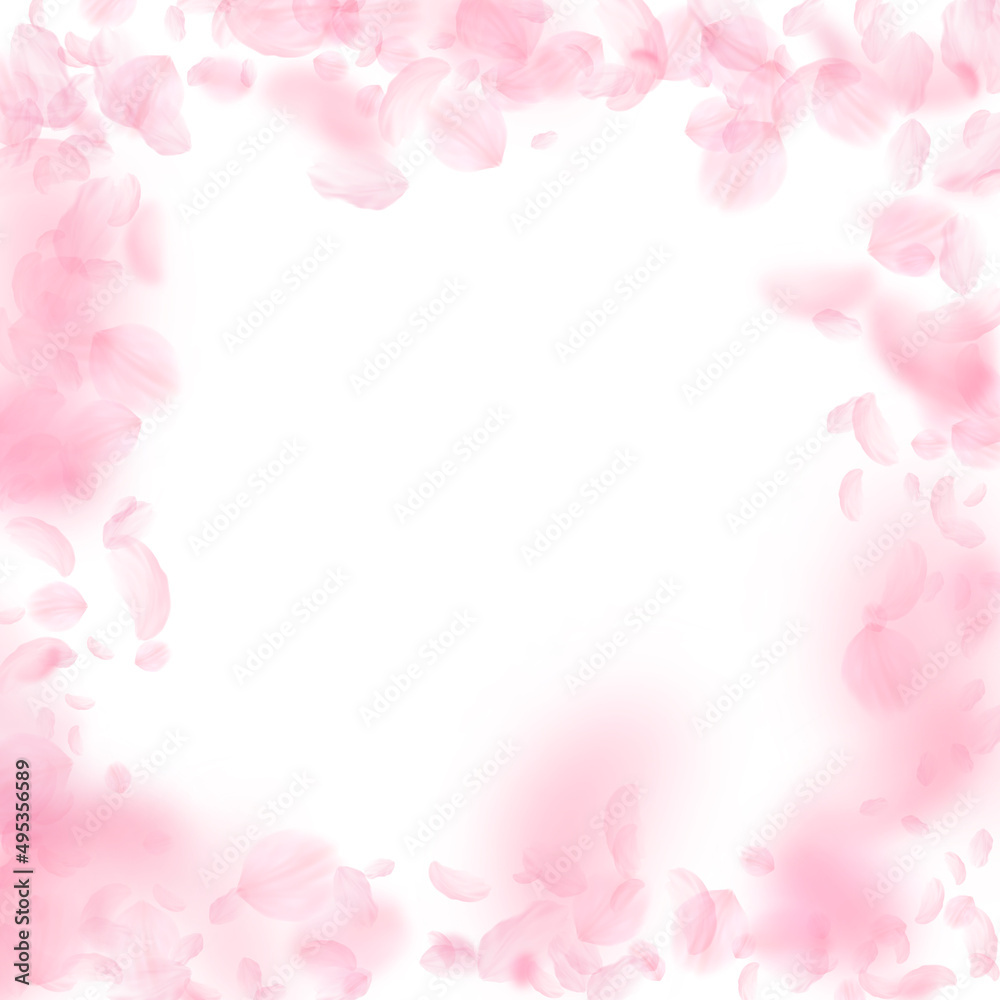 Fototapeta premium Sakura petals falling down. Romantic pink flowers frame. Flying petals on white square background. Love, romance concept. Popular wedding invitation.
