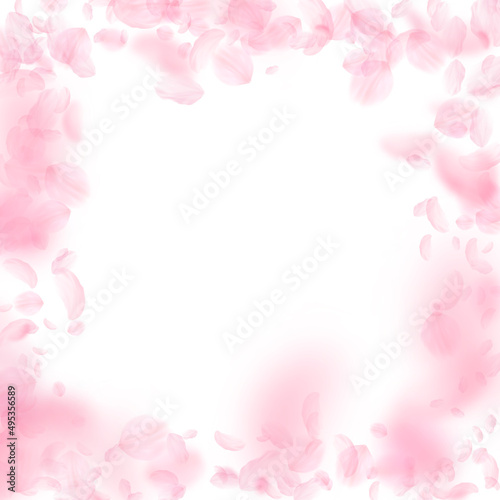 Sakura petals falling down. Romantic pink flowers frame. Flying petals on white square background. Love, romance concept. Popular wedding invitation. © Begin Again