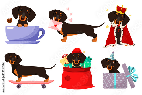 A set of funny dachshunds on a white background. Cartoon design.
