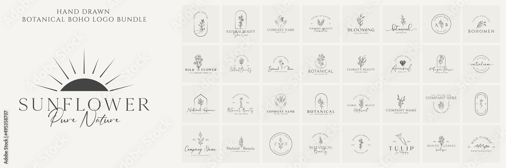 Botanical bundle Floral element Hand Drawn Logo with Wild Flower and Leaves. Logo for spa and beauty salon, boutique, organic shop, wedding, floral designer, interior, photography, cosmetic.