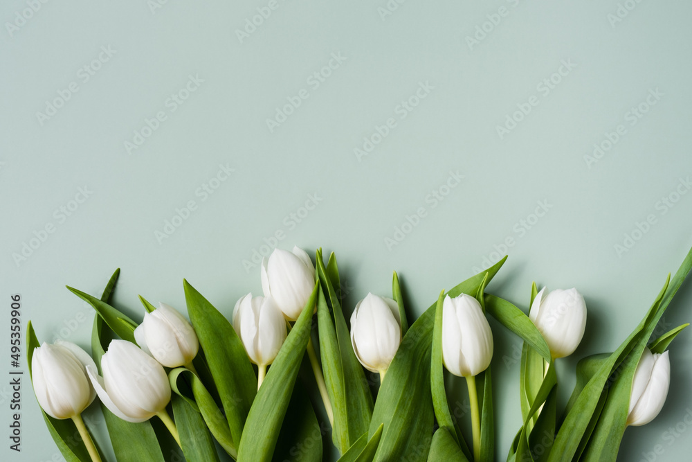 Border of white tulips on a pale green background. Mockup for spring greeting card. Border of white tulips on a pale green background. Mockup for spring greeting card.