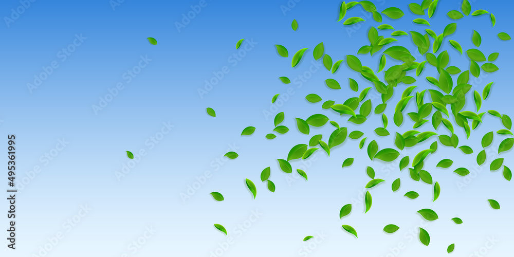 Falling green leaves. Fresh tea chaotic leaves fly Falling green leaves. Fresh tea chaotic leaves fly