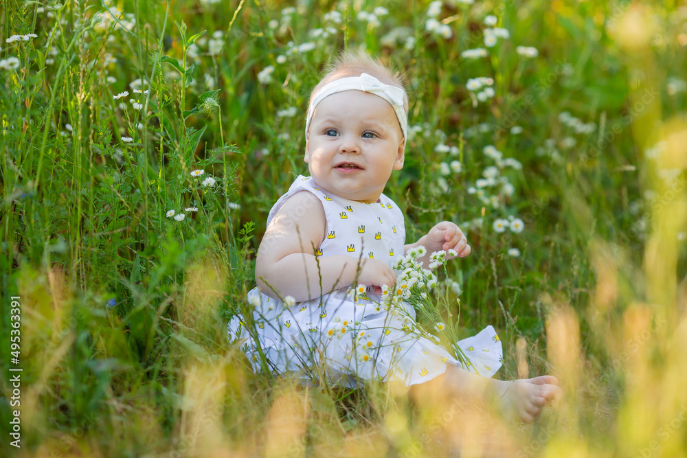 charming little girl in a white dress is sitting on a flower meadow. child playing outdoors charming little girl in a white dress is sitting on a flower meadow. child playing outdoors