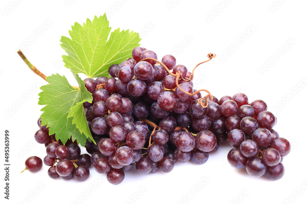 Grapes on a white background Grapes on a white background