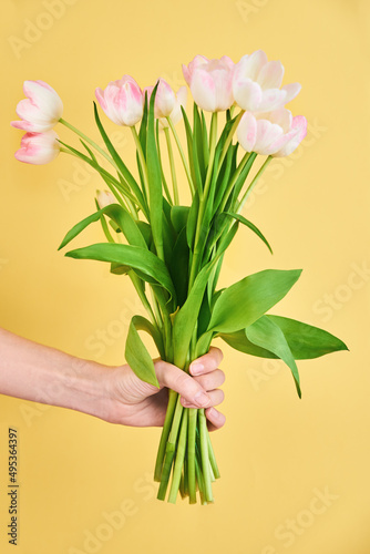 Woman hand holds tulip flowers bouquet on yellow background