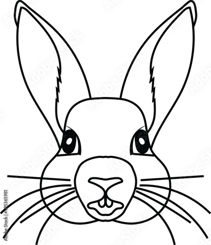 Lovely Bunny Vector Illustration © Sintegra