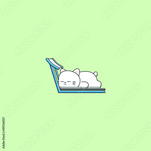 cat sleeping on the treadmill